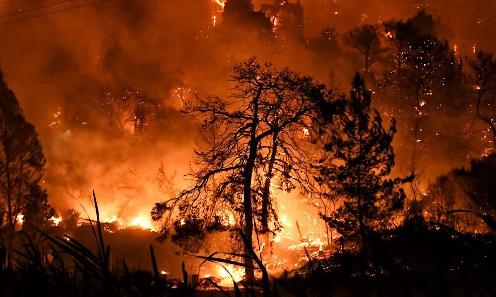 Τι κάνουμε (και τι δεν κάνουμε) την ώρα της πυρκαγιάς